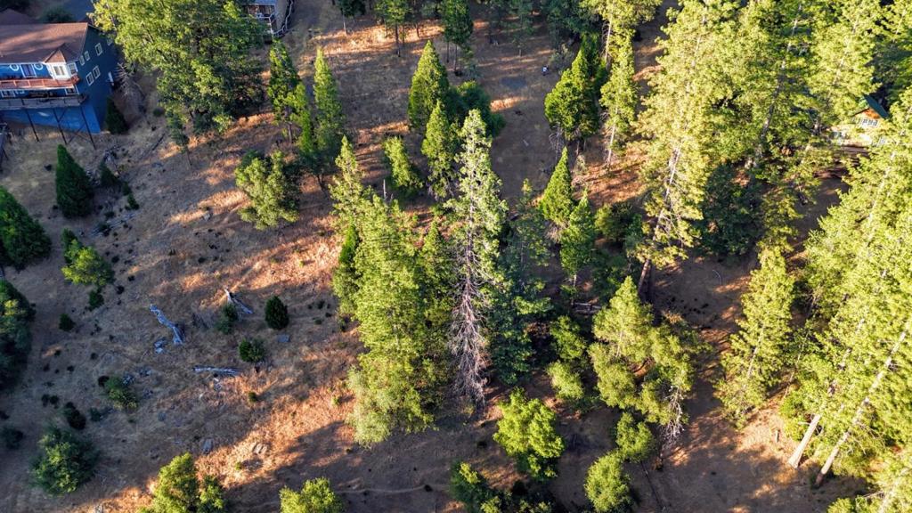 20130 Pine Mountain Dr #4,137, Groveland, CA 95321