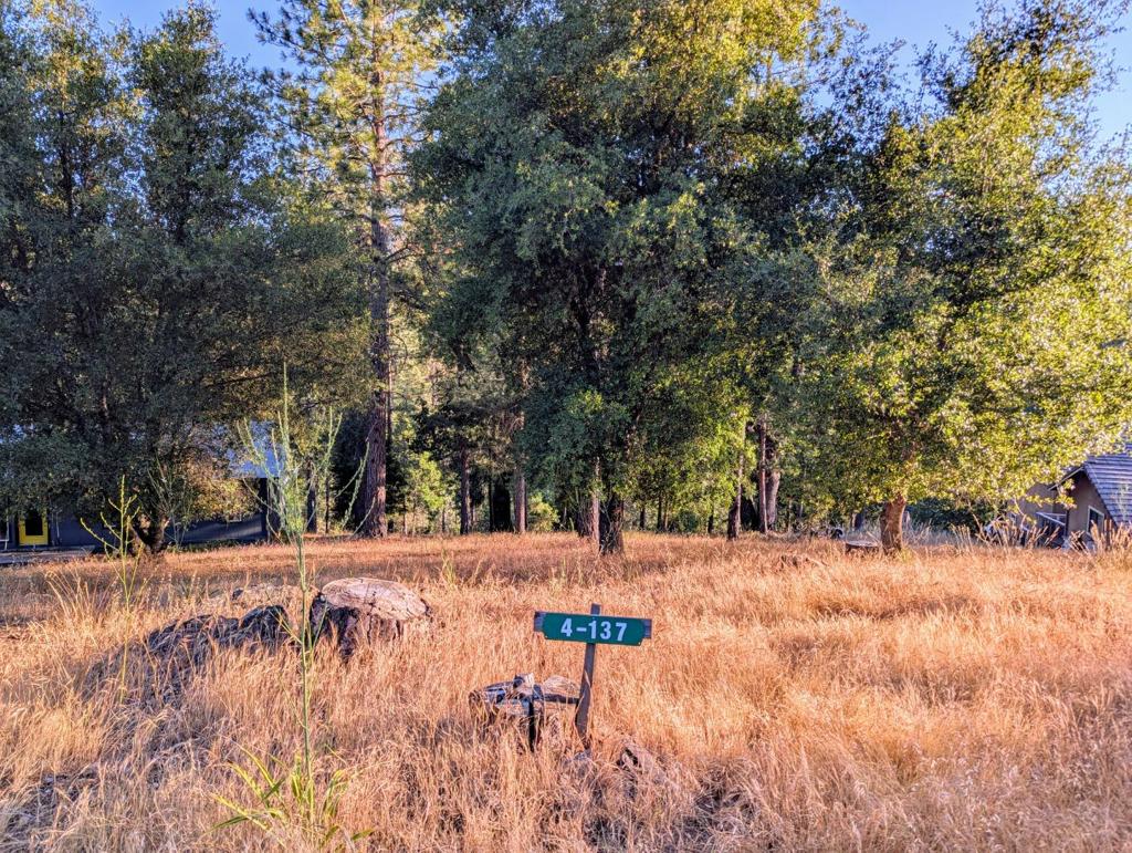 20130 Pine Mountain Dr #4,137, Groveland, CA 95321