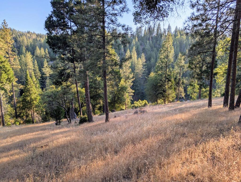 20130 Pine Mountain Dr #4,137, Groveland, CA 95321