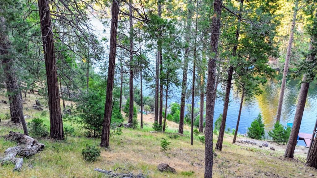 20160 Lower Skyridge Dr #15/93, Groveland, CA 95321