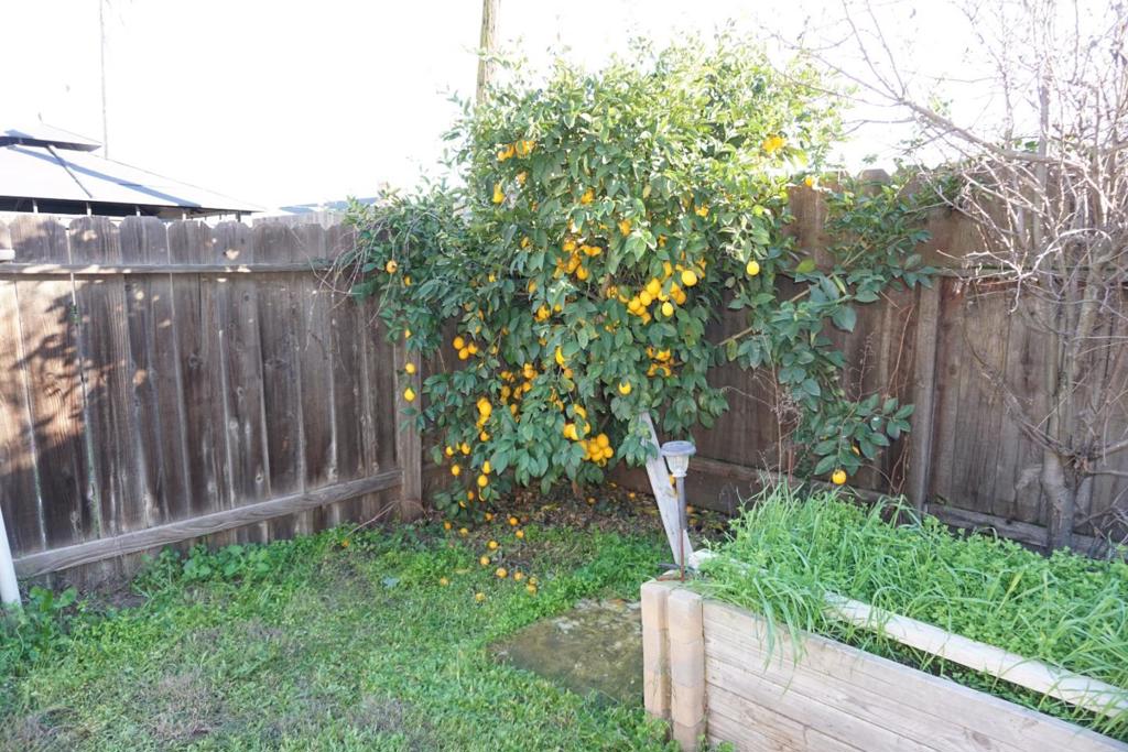 1016 Lombardy Dr, Modesto, CA 95351