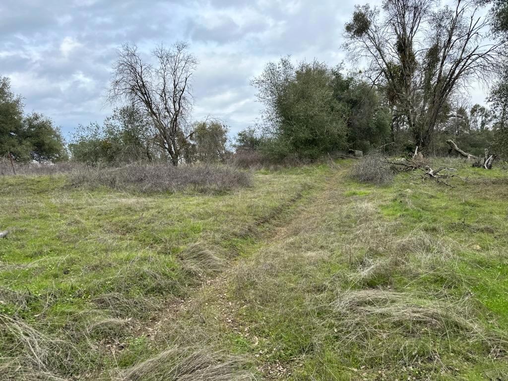 4822 Indian Peaks Rd, Mariposa, CA 95338