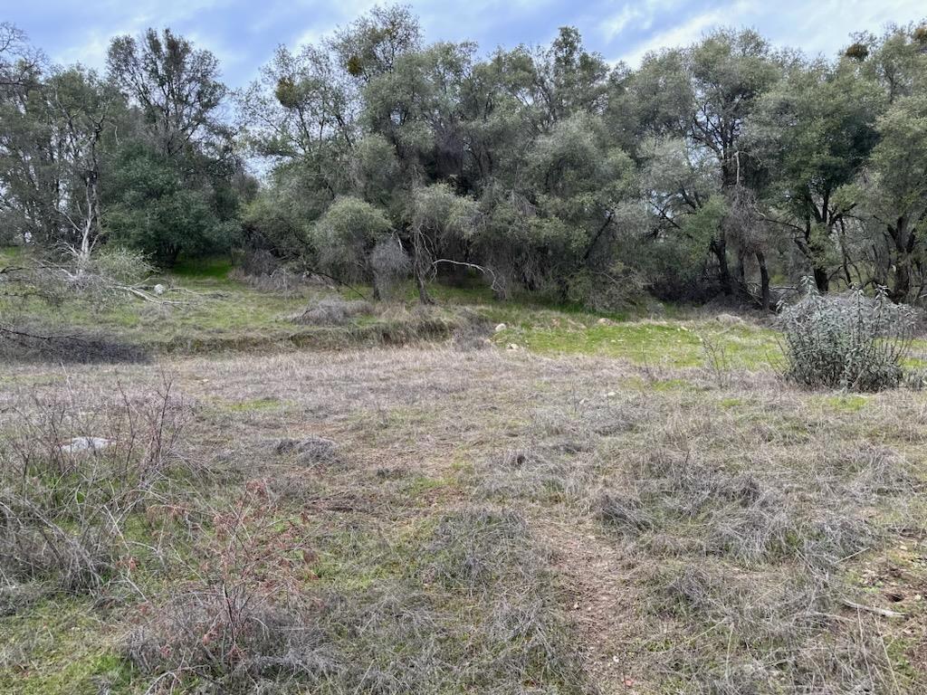 4822 Indian Peaks Rd, Mariposa, CA 95338