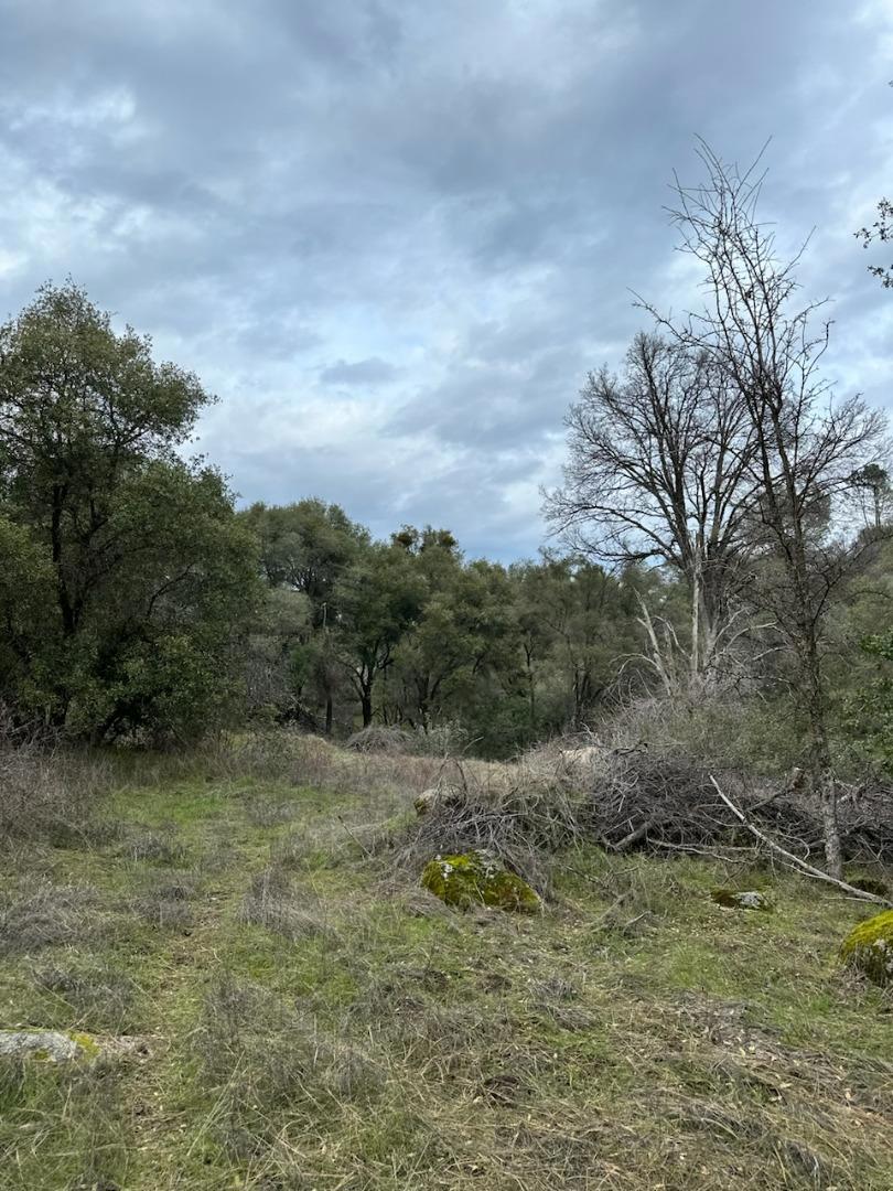 4822 Indian Peaks Rd, Mariposa, CA 95338