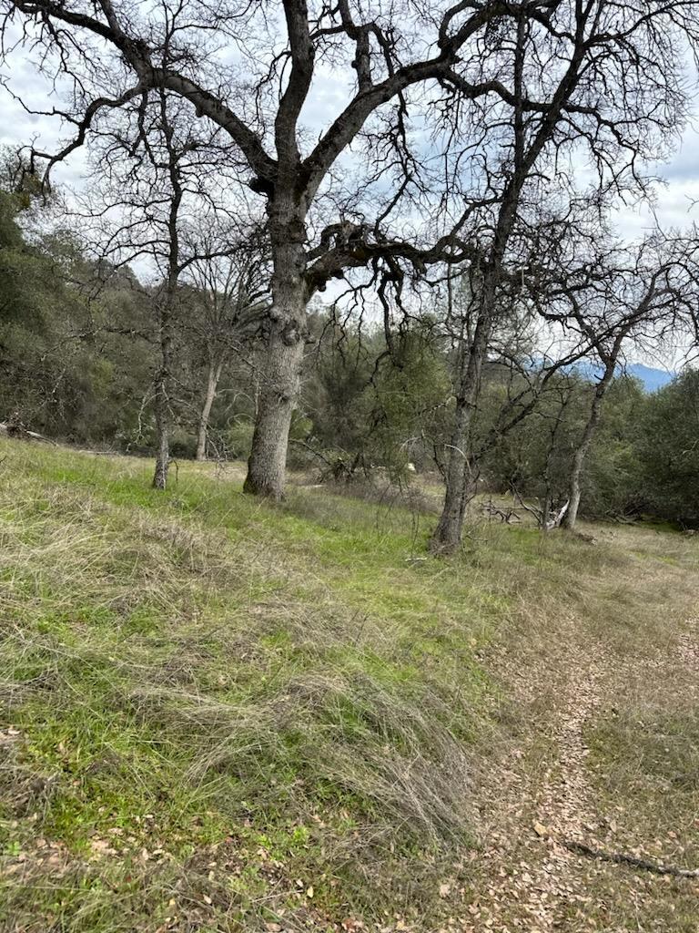 4822 Indian Peaks Rd, Mariposa, CA 95338