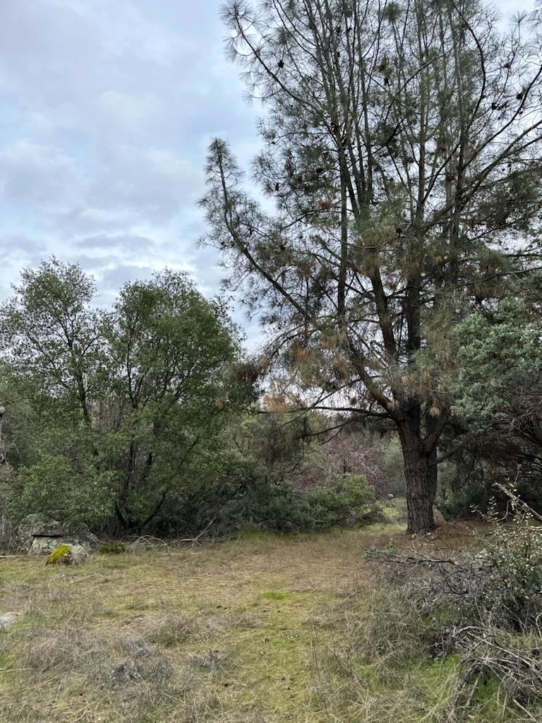 4822 Indian Peaks Rd, Mariposa, CA 95338