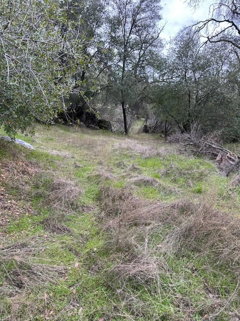 4822 Indian Peaks Rd, Mariposa, CA 95338