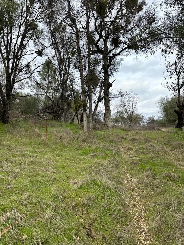 4822 Indian Peaks Rd, Mariposa, CA 95338