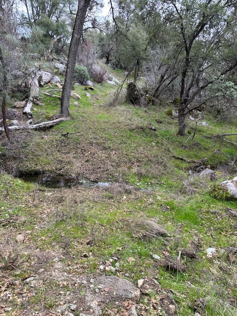 4822 Indian Peaks Rd, Mariposa, CA 95338