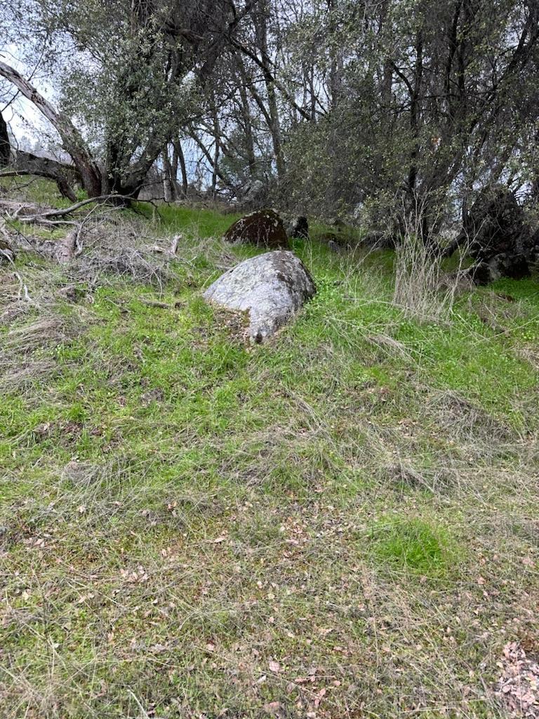 4822 Indian Peaks Rd, Mariposa, CA 95338