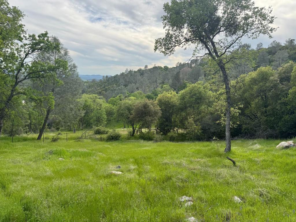 0 Cabezut Rd, Sonora, CA 95370
