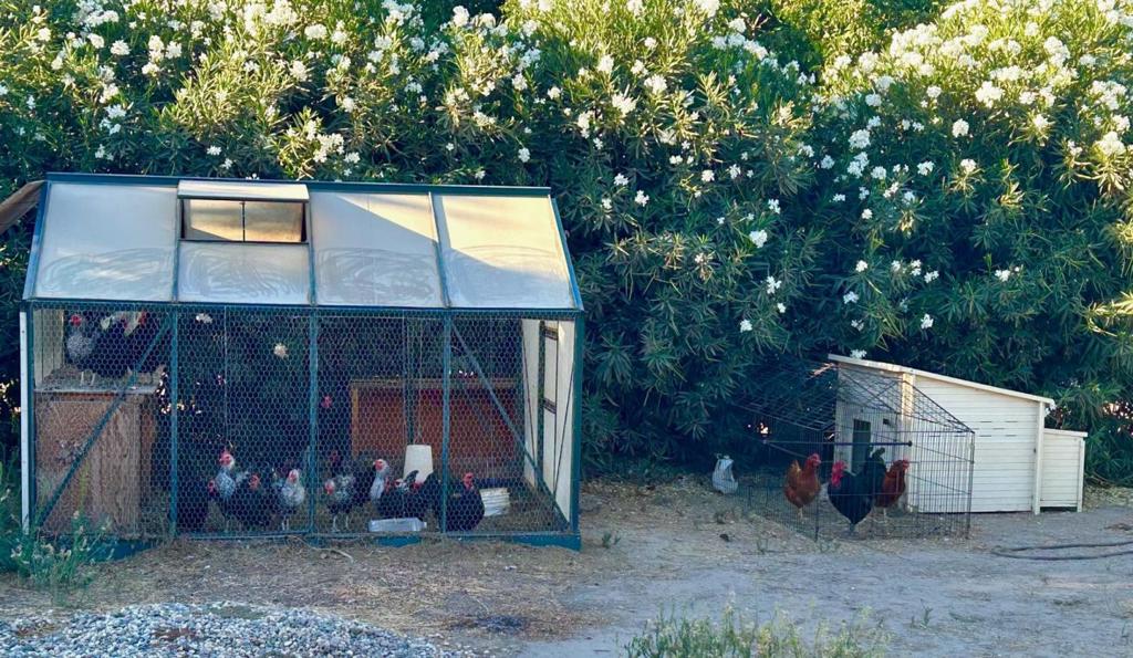 3719 N Hart Rd, Modesto, CA 95358