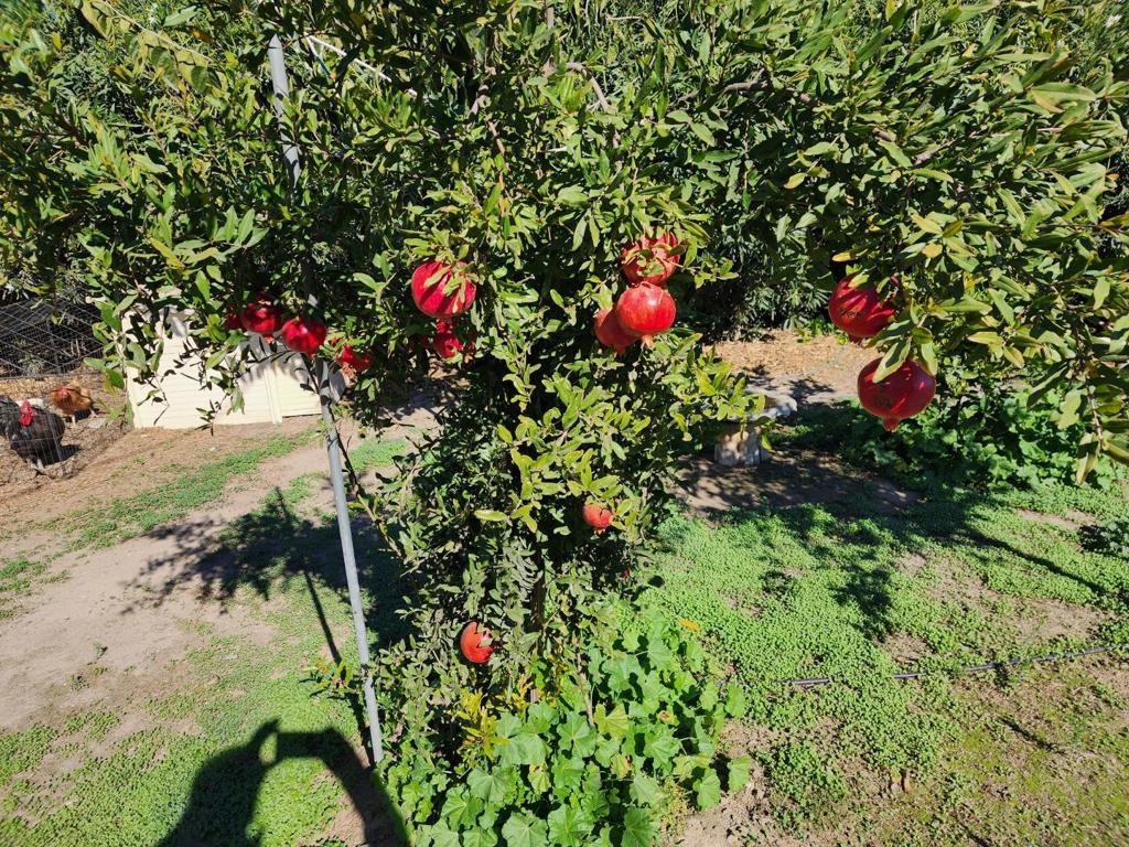 3719 N Hart Rd, Modesto, CA 95358