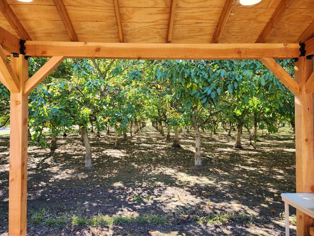 3719 N Hart Rd, Modesto, CA 95358