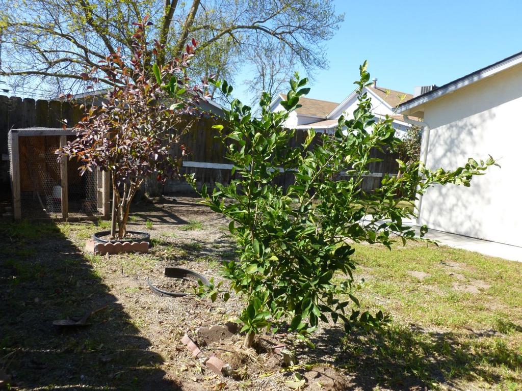 460 SE Jeremy Ct, Oakdale, CA 95361