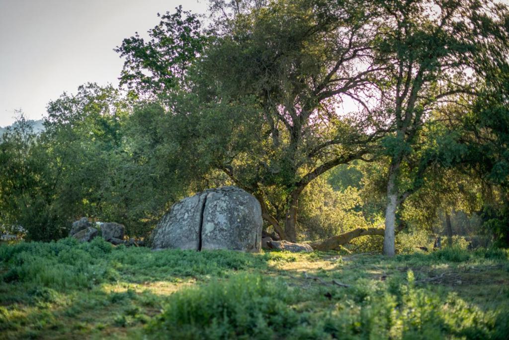 13804205 Pennyroyal Ln, Prather, CA 93651