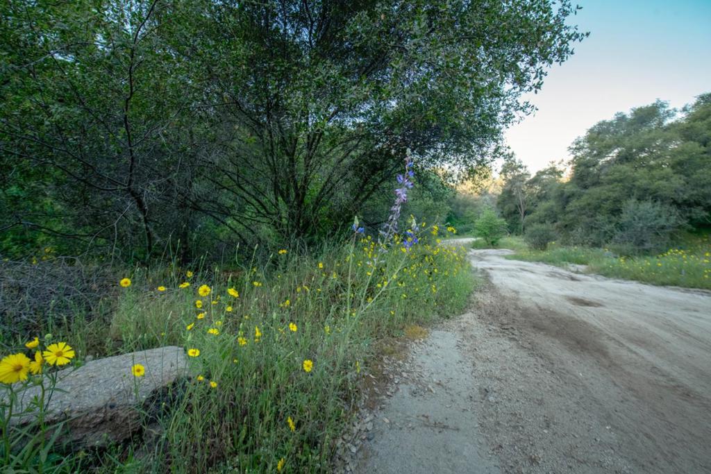 13804205 Pennyroyal Ln, Prather, CA 93651