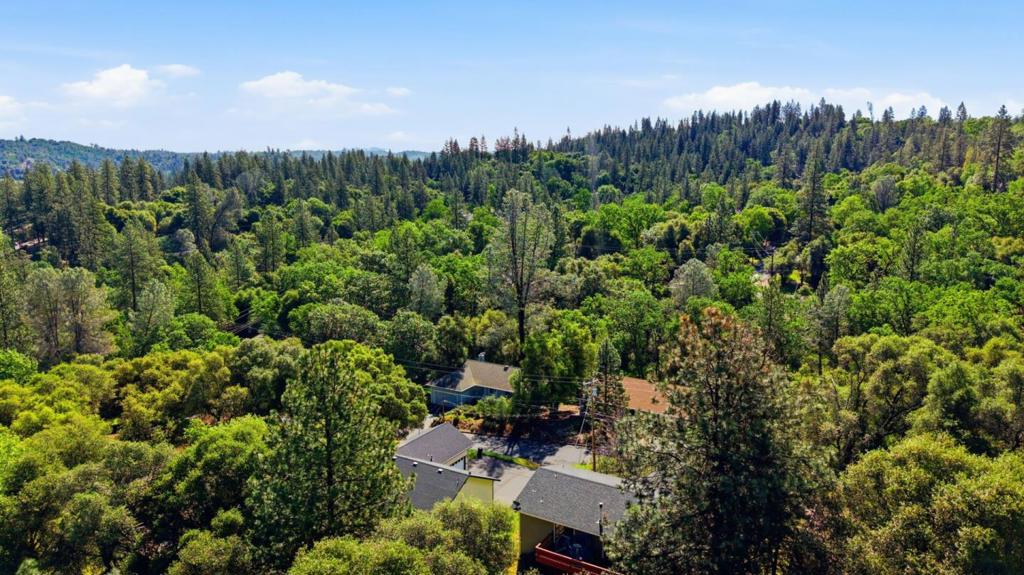 13074 Jackson Mill Dr, Groveland, CA 95321