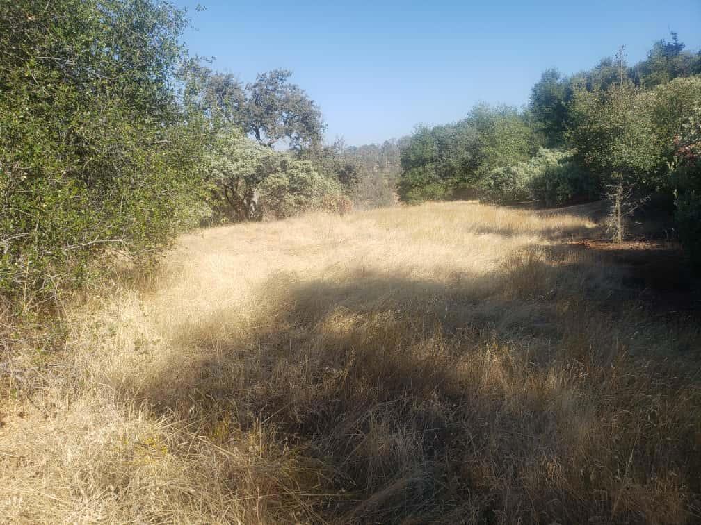 29763 Stoney Creek, Tollhouse, CA 93667