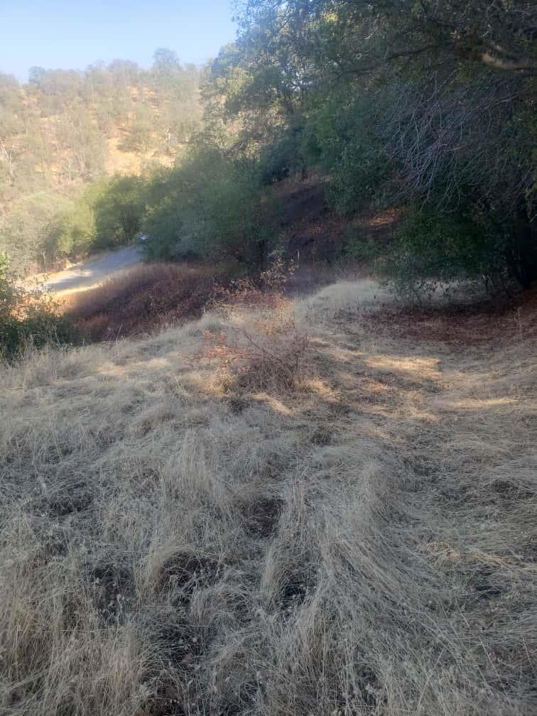 29763 Stoney Creek, Tollhouse, CA 93667