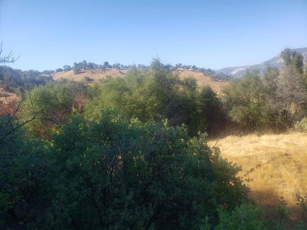 29763 Stoney Creek, Tollhouse, CA 93667