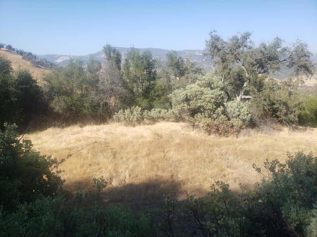 29763 Stoney Creek, Tollhouse, CA 93667