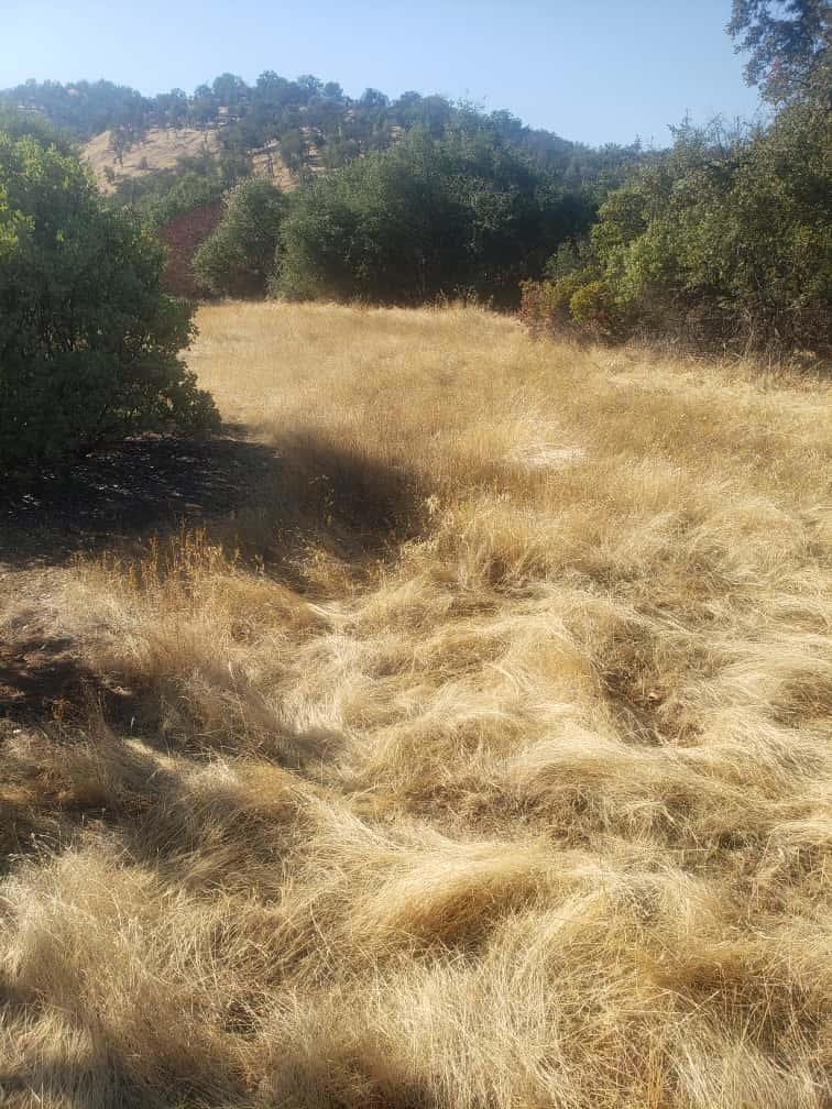 29763 Stoney Creek, Tollhouse, CA 93667