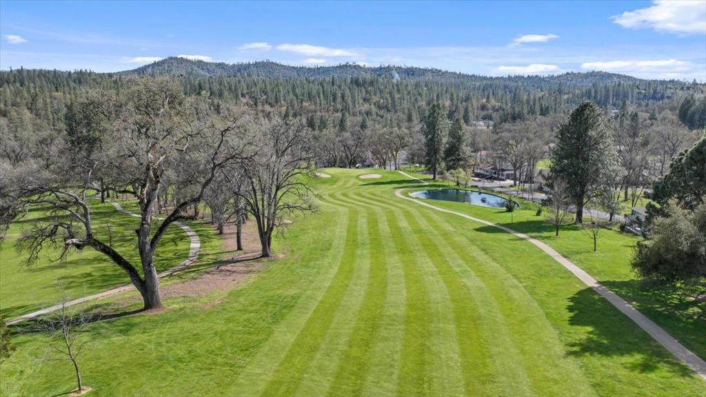 20135 Pine Mountain Dr, Groveland, CA 95321