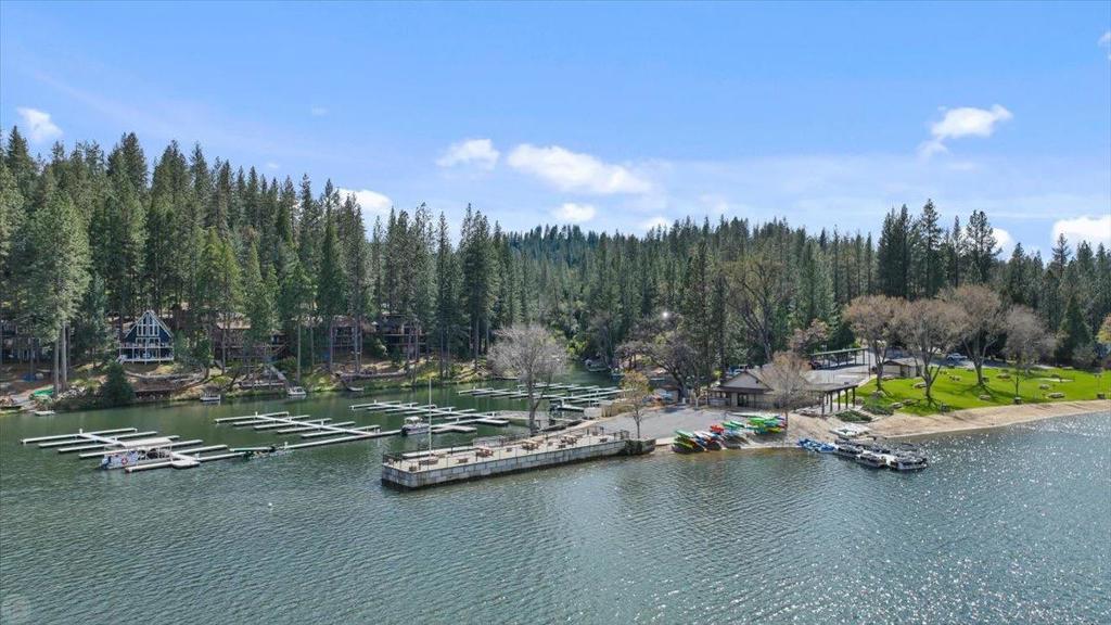 20135 Pine Mountain Dr, Groveland, CA 95321