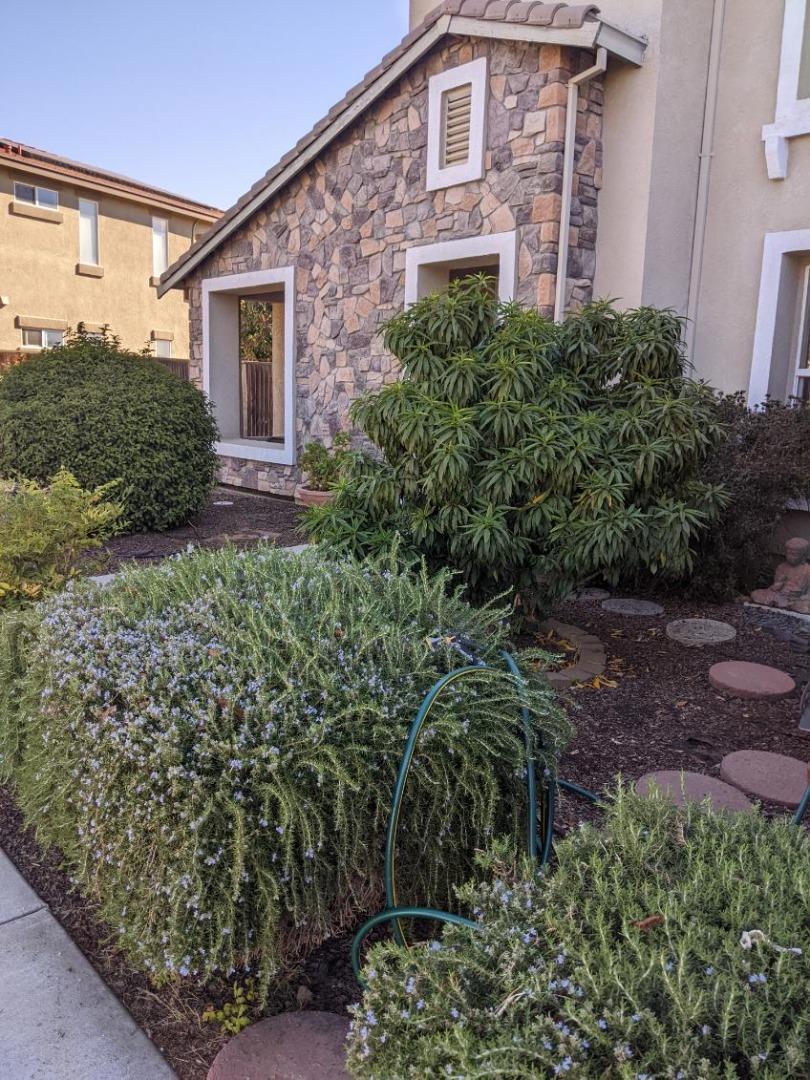 15220 Torrey Pines Cir, Chowchilla, CA 93610