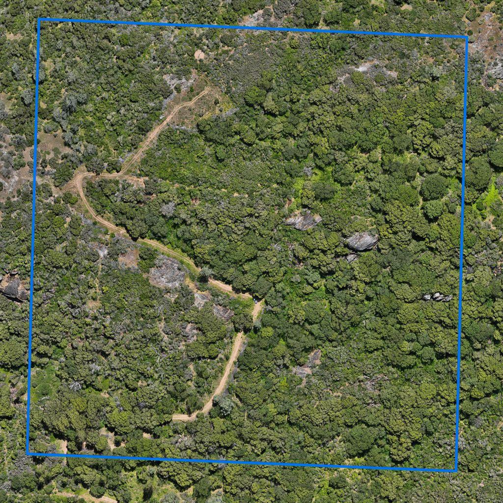 0 Highway 41, Oakhurst, CA 93644