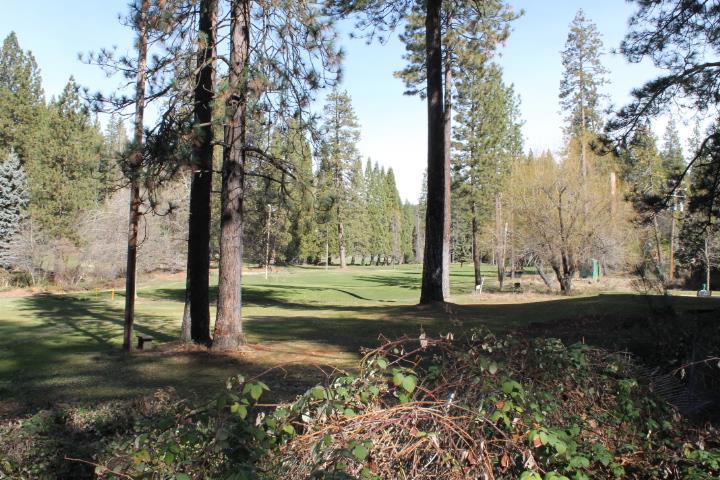 18861 Lookout Dr, Twain Harte, CA 95383