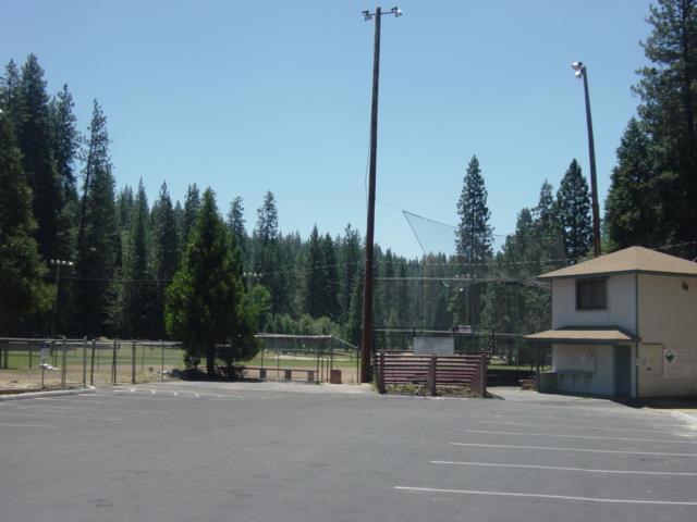 18861 Lookout Dr, Twain Harte, CA 95383