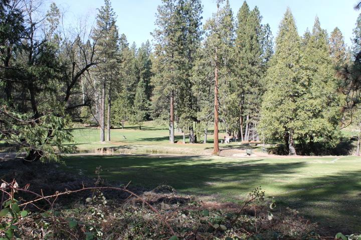 18861 Lookout Dr, Twain Harte, CA 95383