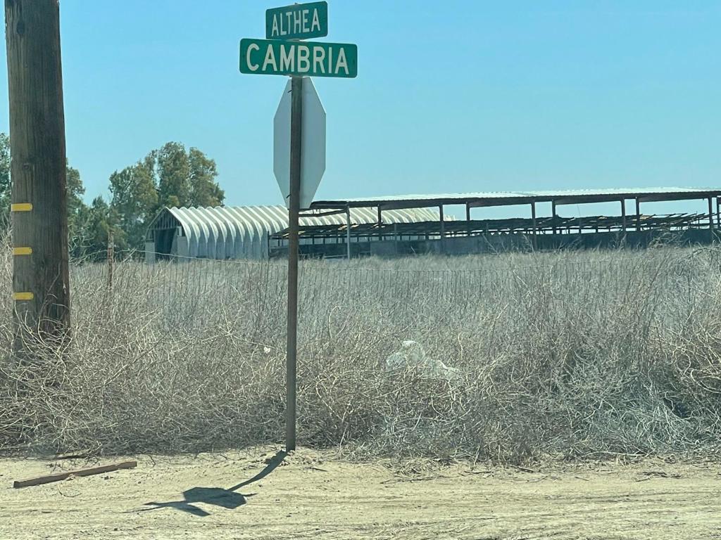 49993 W Althea Ave, Firebaugh, CA 93622