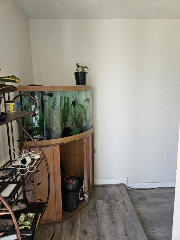 66 S Stearns Rd, Oakdale, CA 95361