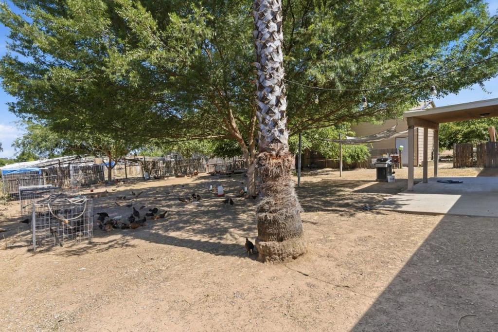 20105 Olympia Rd, Madera, CA 93638