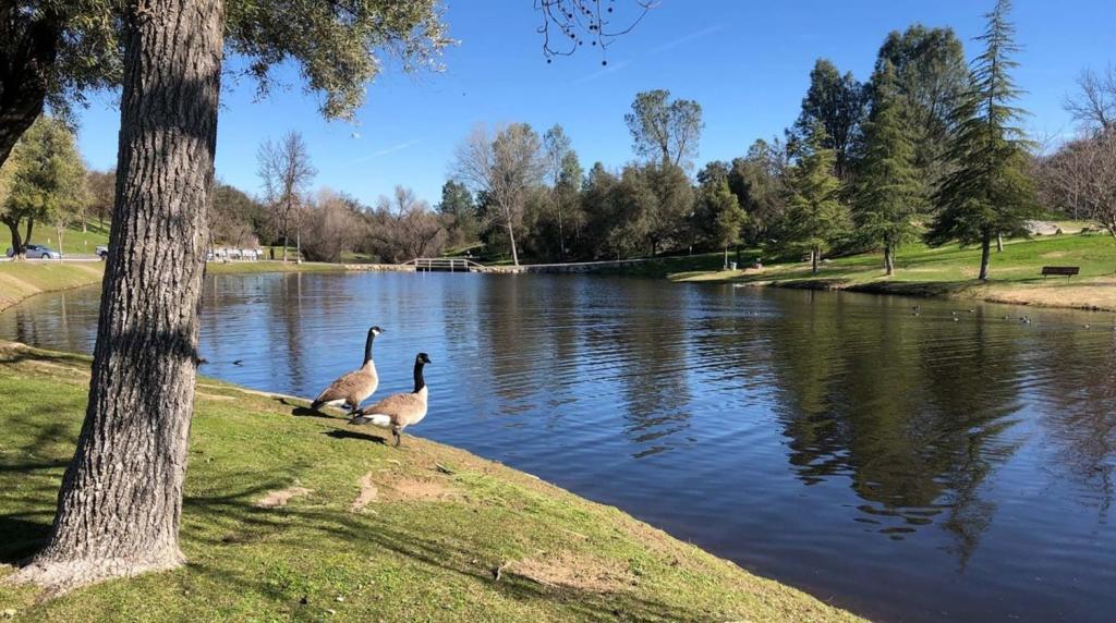30159 Horseshoe Dr, Coarsegold, CA 93614