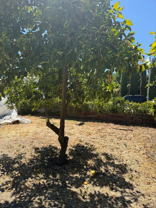 488 E Childs Ave, Merced, CA 95341