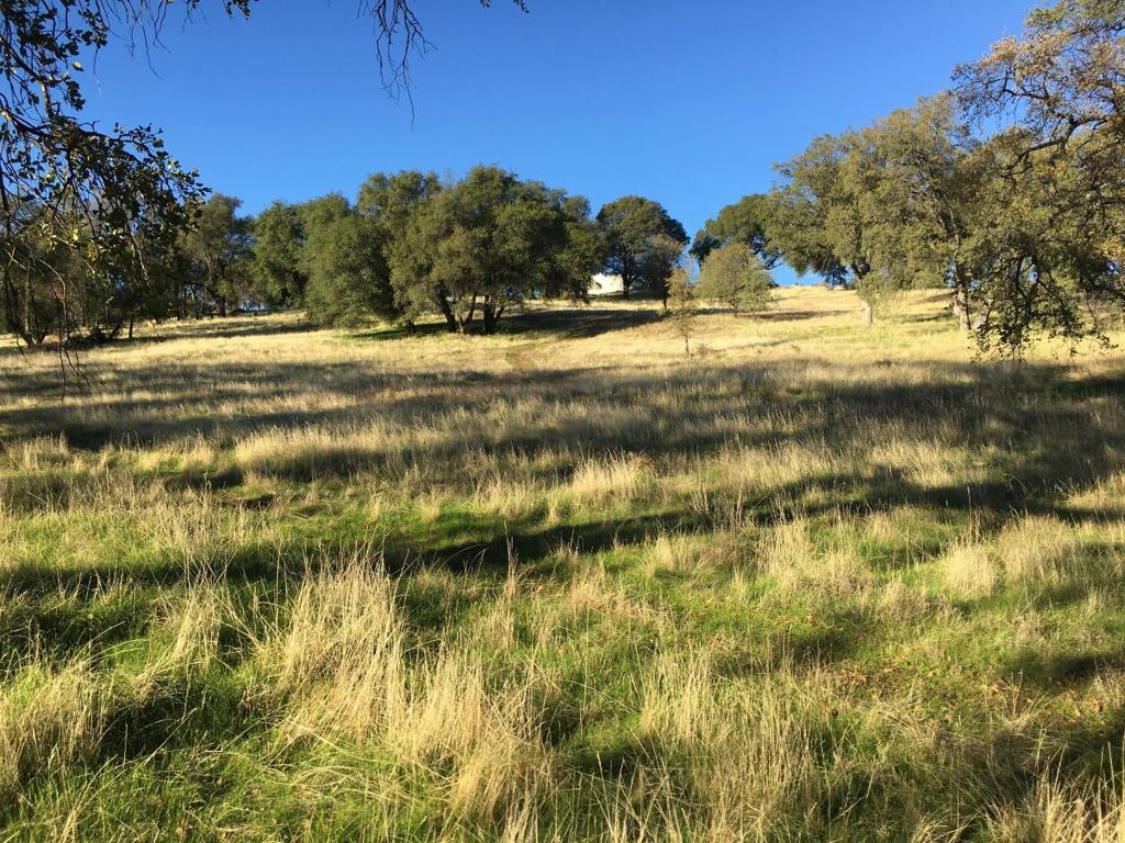 1375 Shaws Flat Rd, Sonora, CA 95370