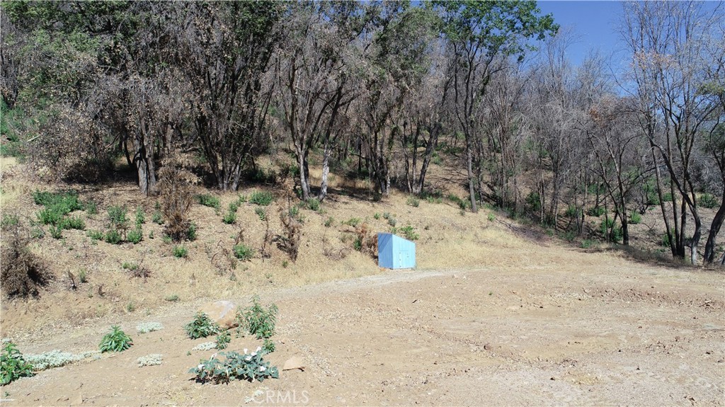 6179 Carter Rd, Mariposa, CA 95338