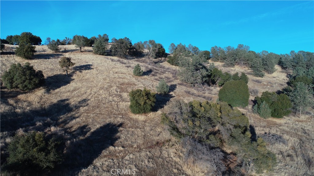 21 Bumguardner Mountain Rd, Mariposa, CA 95338