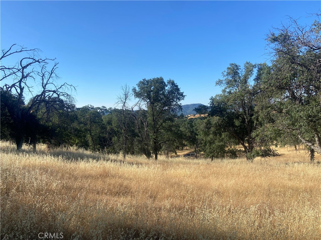 0 State Hwy 140, Mariposa, CA 95338