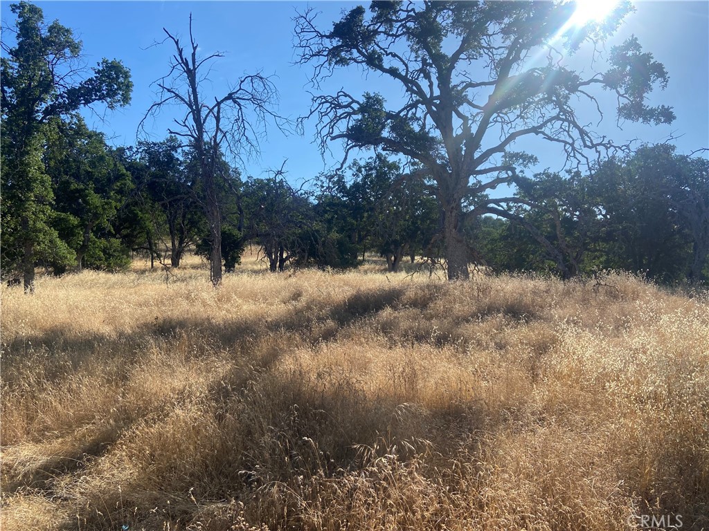 0 State Hwy 140, Mariposa, CA 95338