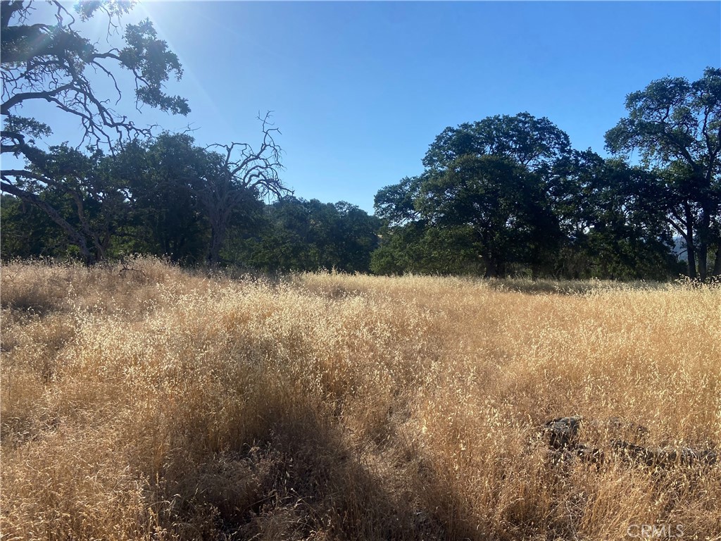 0 State Hwy 140, Mariposa, CA 95338