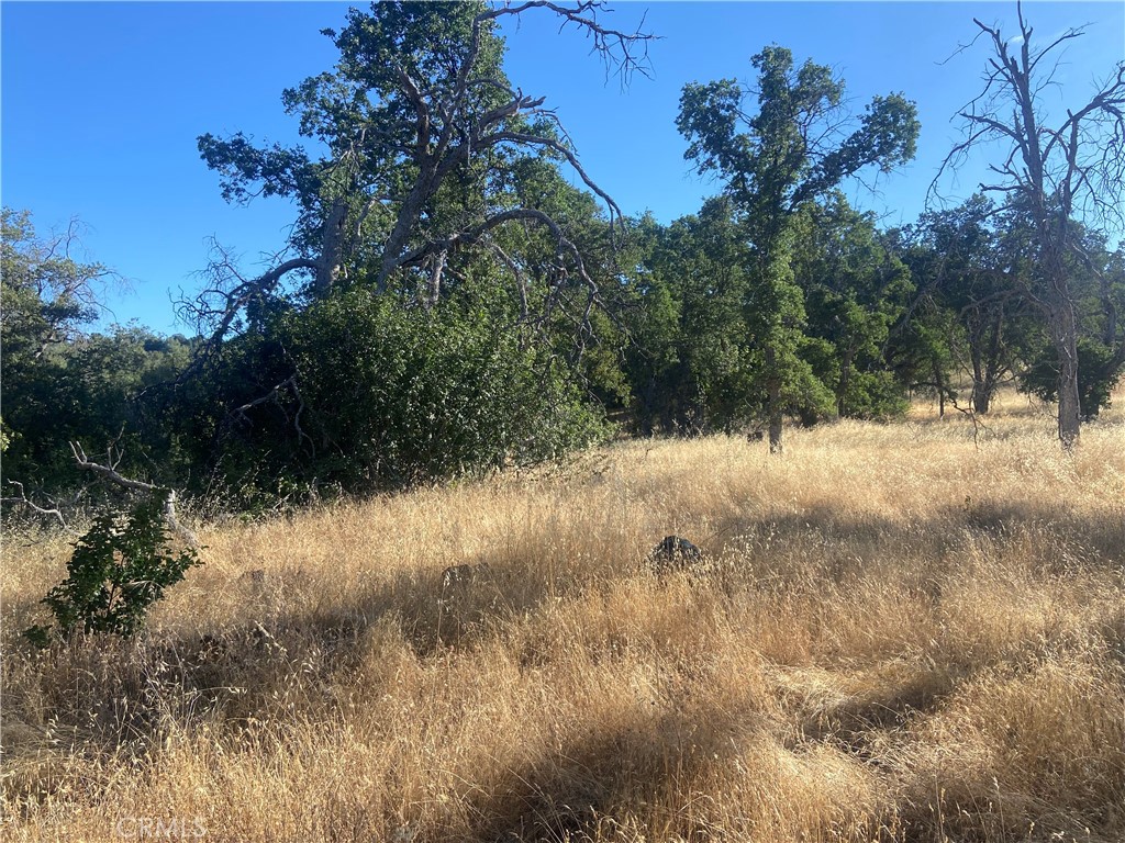 0 State Hwy 140, Mariposa, CA 95338