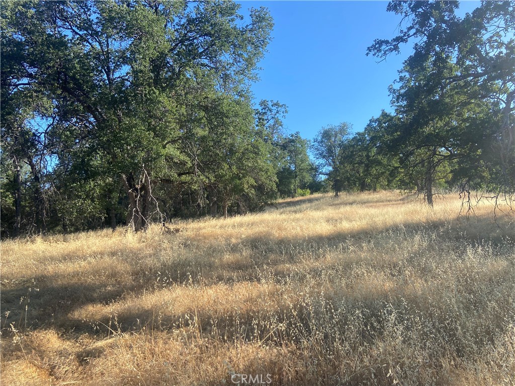 0 State Hwy 140, Mariposa, CA 95338