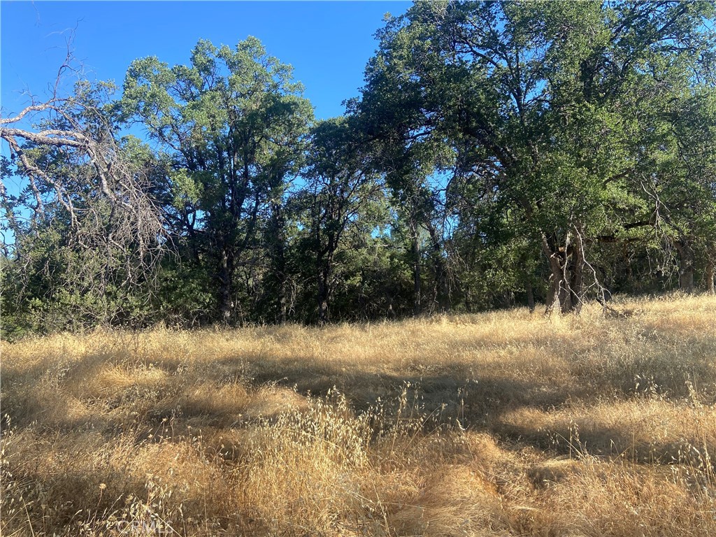 0 State Hwy 140, Mariposa, CA 95338