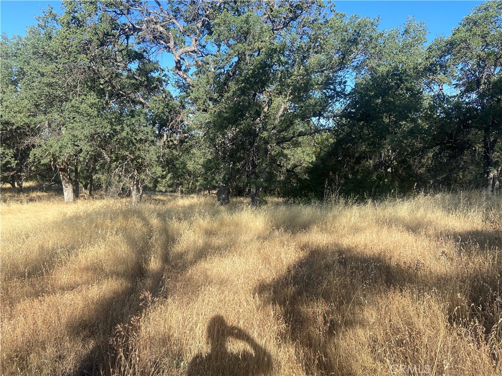 0 State Hwy 140, Mariposa, CA 95338