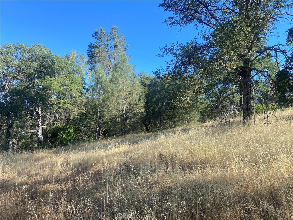 0 State Hwy 140, Mariposa, CA 95338